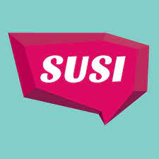 Student Universal Support Ireland – SUSI